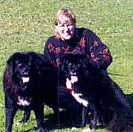 Kynn Bartlett
