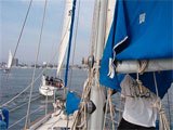 sailing in marina del rey